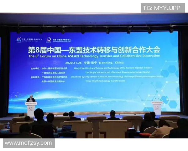 独家解析FPX战队实力对比与未来发展潜力分析